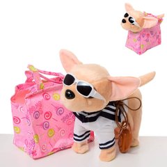 Собачка Кікі (іграшковий щеня Чихуахуа, в окулярах), вміє ходити і танцювати -  CL1360A-P