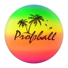 Profi 0008 - Дитячий м'яч для гри у волейбол, полегшений, ПВХ