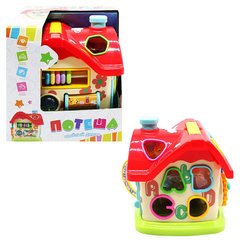 Розвиваюча іграшка для малюків - будиночок - 5 гральних граней - рахунки, шестерні, сортер, годинник,  ZYB-B3137