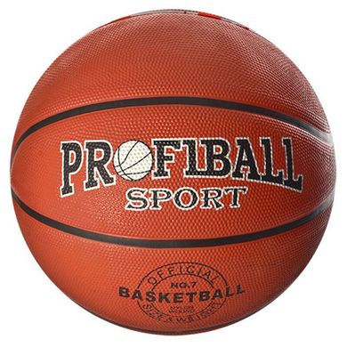 Мяч для игры в баскетбол, EN 3225 