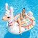 - INTEX 57294, 2