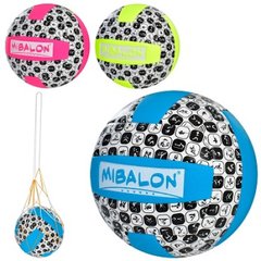 М'яч для гри у волейбол - панелі з поліуретану, стандартна вага та розмір, з сіточкою