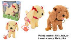 Интерактивные игрушки для девочек - фото Игрушечный щенок пуделя, гуляет на поводке, звуки, музыка, CL1353AB