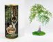 Фото Наборы для рукоделия Набор для творчества Бисерное дерево своими руками, микс видов, Украина