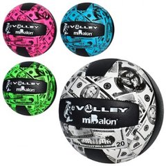 М'яч для гри у волейбол - панелі з поліуретану, в дизайні з доларом