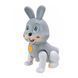 -  PL-724-15, RS-9037, 4