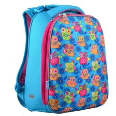 Ранець (рюкзак) - каркасний шкільний для дівчинки рожевий - блакитний Сови - YES H-12-1 Owl, 1 вересня 554476, 1 Вересня 554476